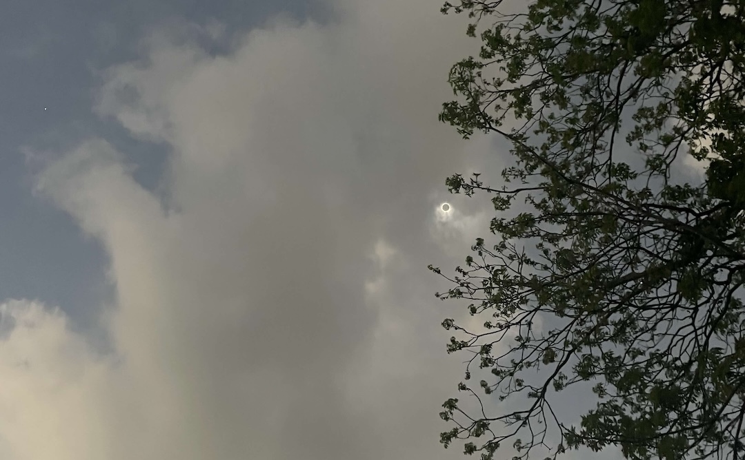 Witnessing the Eclipse: A Moment of Reflection - Baylor Line